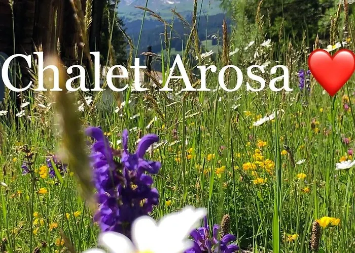 Arosa - Zur Alleinnutzung Fuer 6 Personen, Urig Und Sonnig Langwies