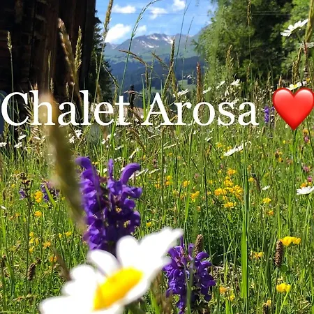 Arosa - Zur Alleinnutzung Fuer 6 Personen, Urig Und Sonnig Langwies